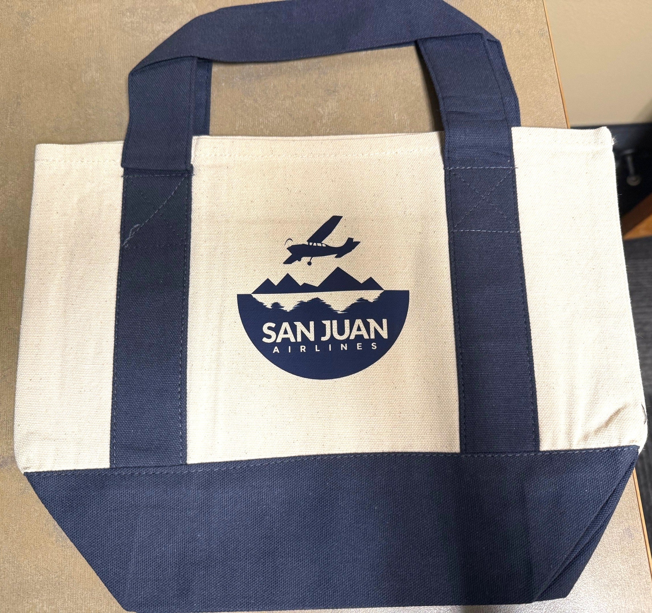 Mini Canvas Tote Bag - Navy